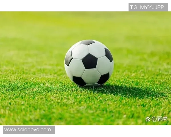 足球比拼激情四射球场上的友谊与竞争交织成美丽画卷