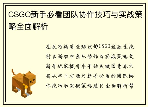 CSGO新手必看团队协作技巧与实战策略全面解析