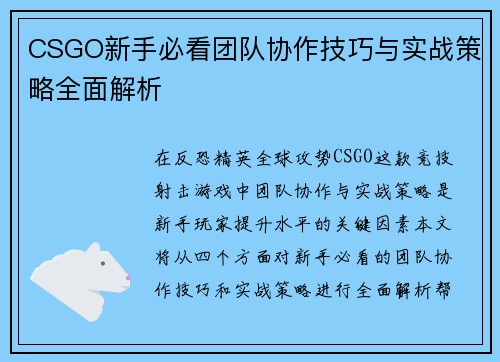 CSGO新手必看团队协作技巧与实战策略全面解析